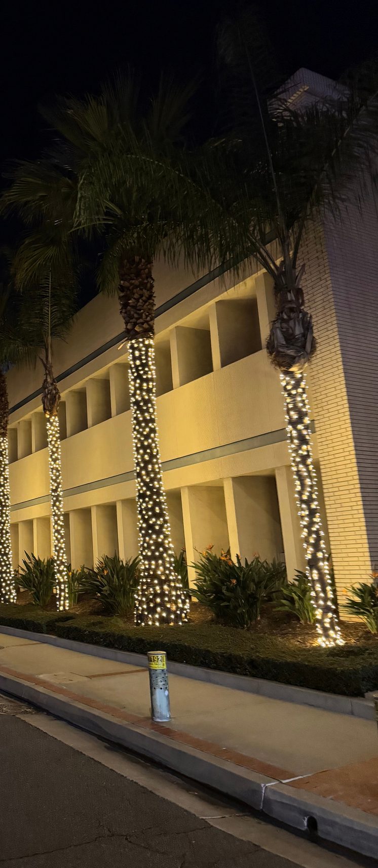 Healthcare campus — palm tree wraps