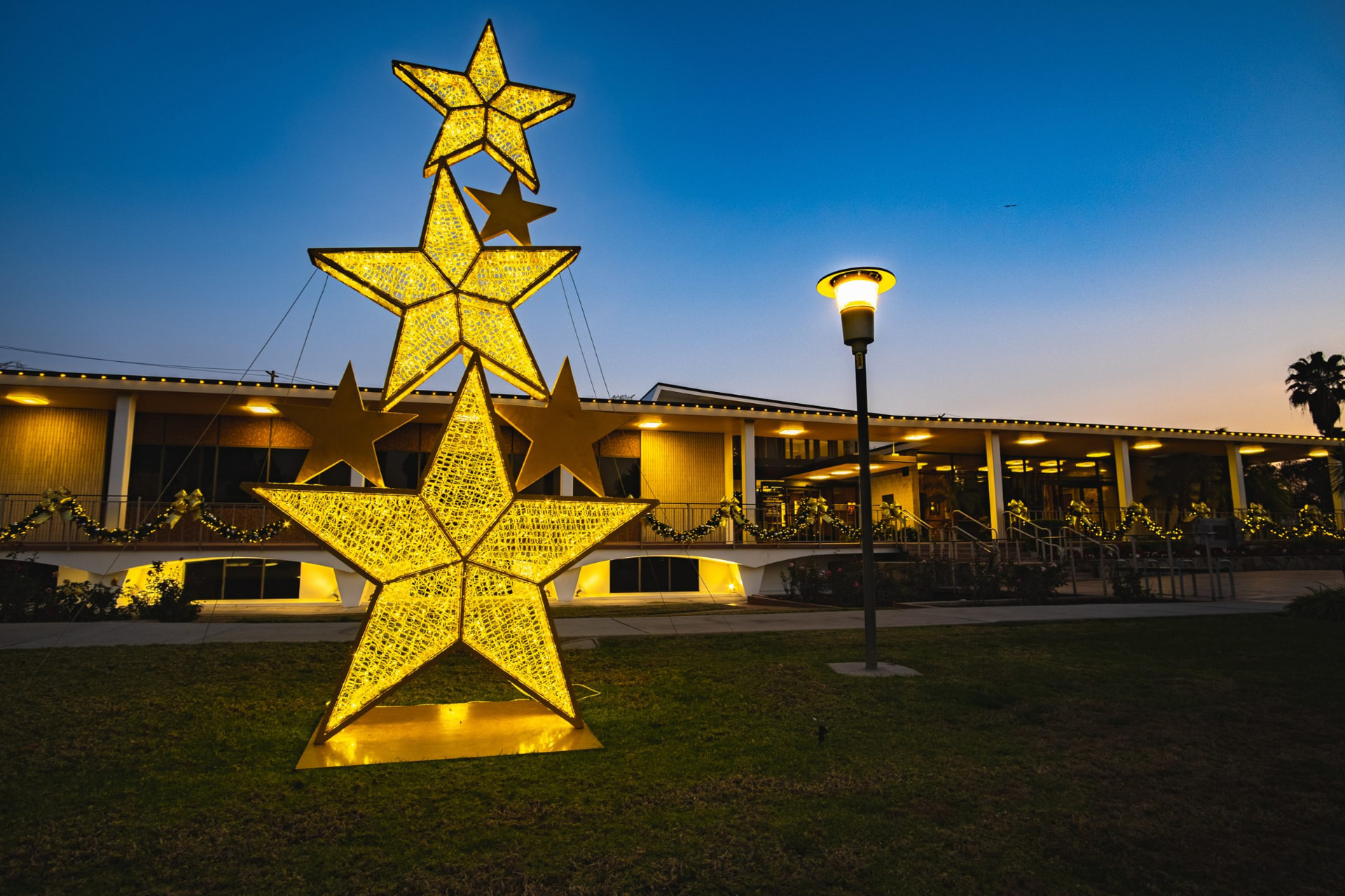 Hotels, Venues & Dealerships holiday lighting