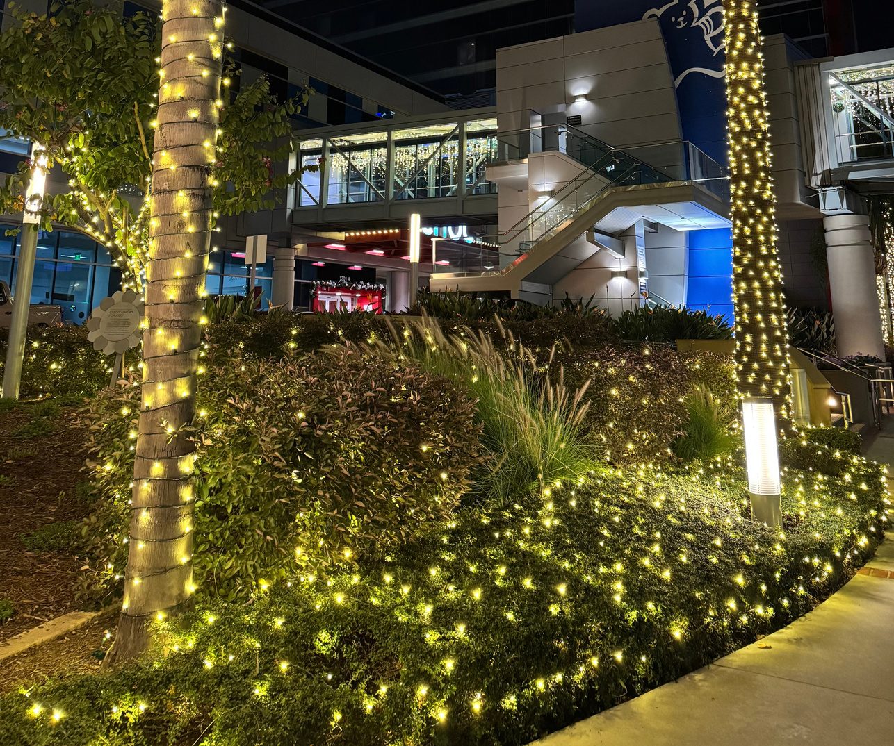 Office, Medical & Healthcare Campuses holiday lighting